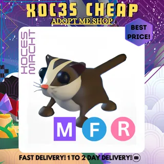 MFR Sugar Glider