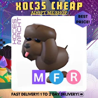 MFR Irish Water Spaniel