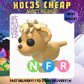 NFR Lion Cub
