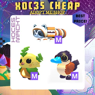 Week 4 Bundle - Adopt Me!