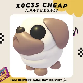 16X SNOWBALL PUG (ALL NO POTION)