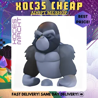 Silverback Gorilla