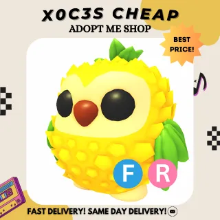 FR PINEAPPLE OWL