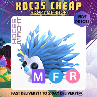 MFR Icy Porcufine