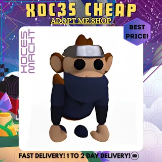 Ninja Monkey