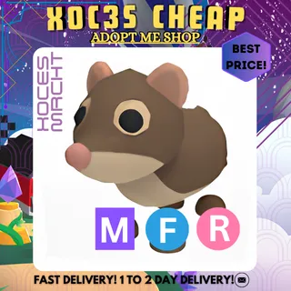 MFR Shrew