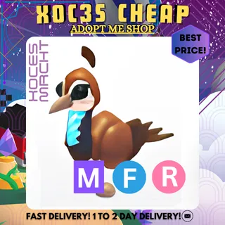 MFR Peahen