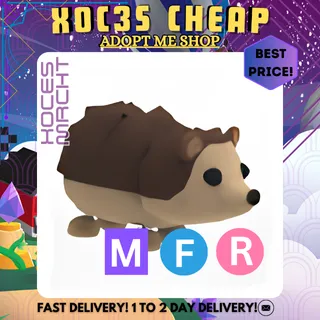 MFR Hedgehog