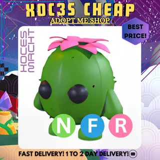 NFR Cactus Friend