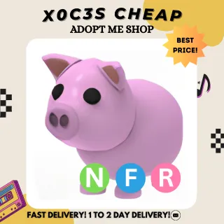 NFR PIG
