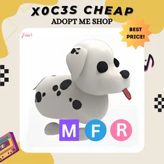MFR DALMATIAN