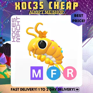 MFR Priceless Shrimp