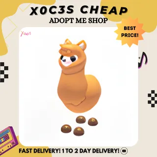 4X ALPACA