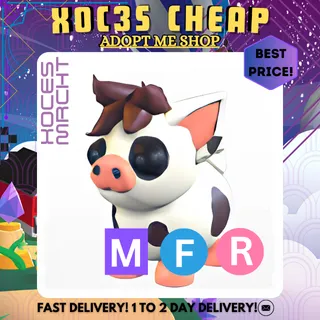 MFR Mini Pig