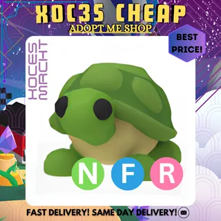 NFR Turtle