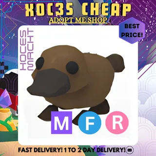 MFR Platypus