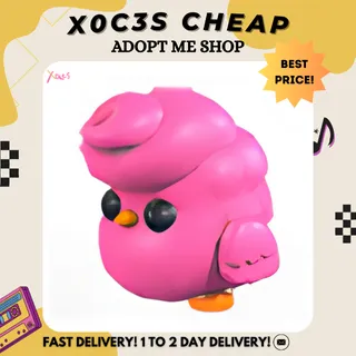 4X CANDYFLOSS CHICK