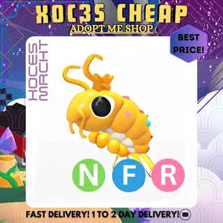 NFR Priceless Shrimp