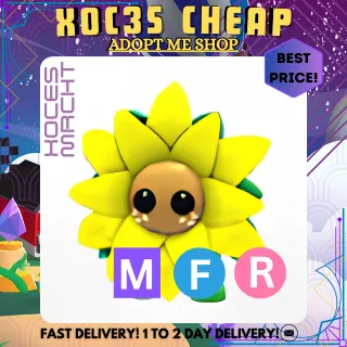 MFR Sunflower Friend