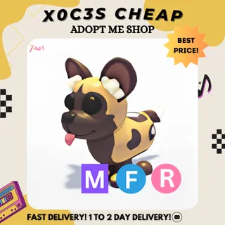 MFR AFRICAN WILD DOG