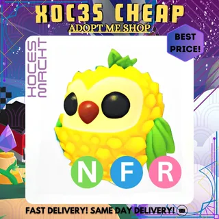 NFR Pineapple Owl