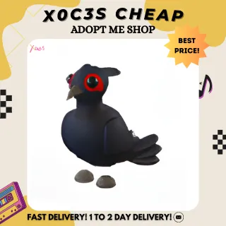 4X BLACK CHESTED PHEASANT