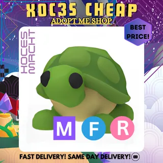 MFR Turtle