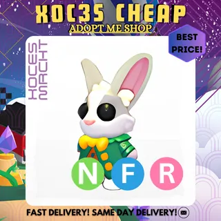 NFR Mr. Whiskerpips