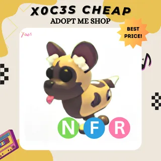 NFR AFRICAN WILD DOG