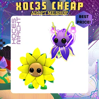 16X Violet Friend & 16x Sunflower Friend 