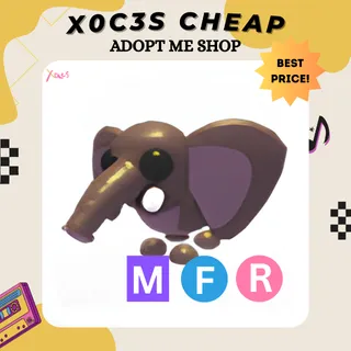 MFR BUSH ELEPHANT
