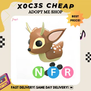 NFR FALLOW DEER
