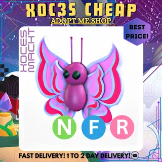 NFR Orchid Butterfly