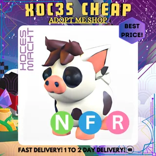 NFR Mini Pig