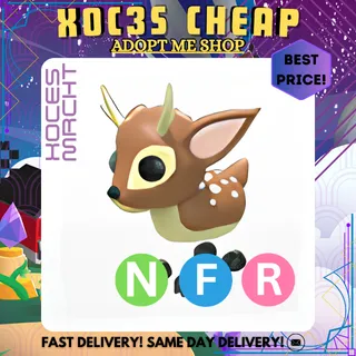 NFR  Fallow Deer 
