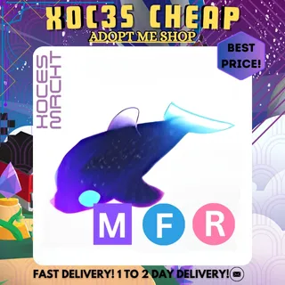MFR Glormy Dolphin