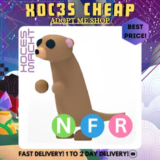 NFR Meerkat