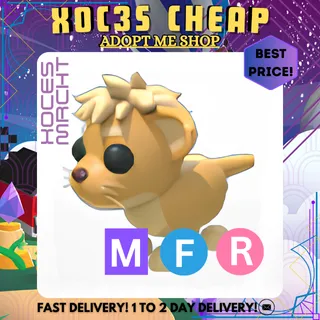 MFR Lion Cub