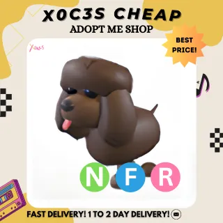 NFR IRISH WATER SPANIEL