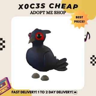 4X BLACK CHESTED PHEASANT