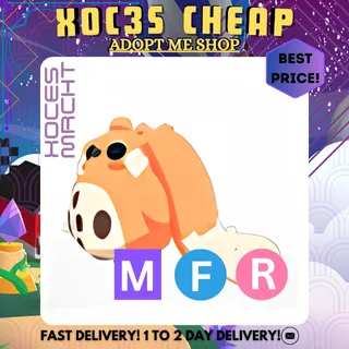 MFR Cabbit
