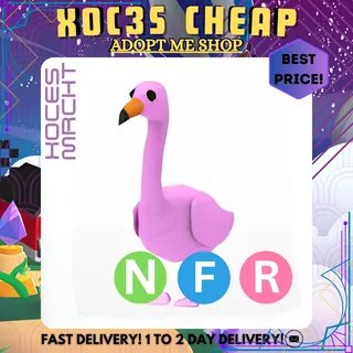 NFR Flamingo