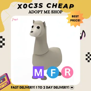 MFR LLAMA
