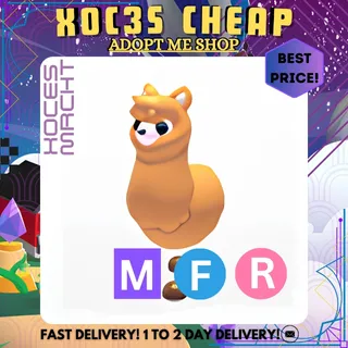 MFR Alpaca