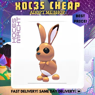 Hare