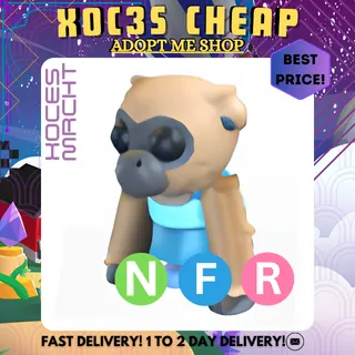 NFR Influencer Gibbon