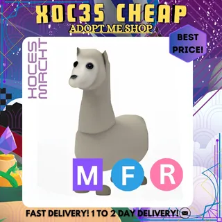 MFR Llama