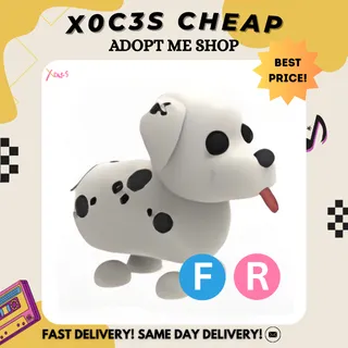 FR DALMATIAN