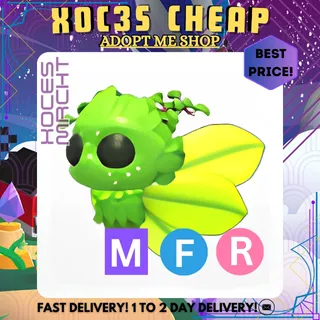 MFR Gaelic Fae