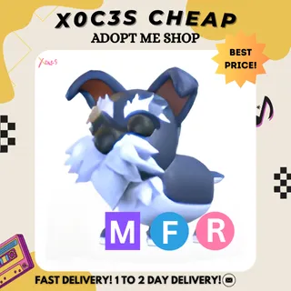 MFR MINI SCHNAUZER 